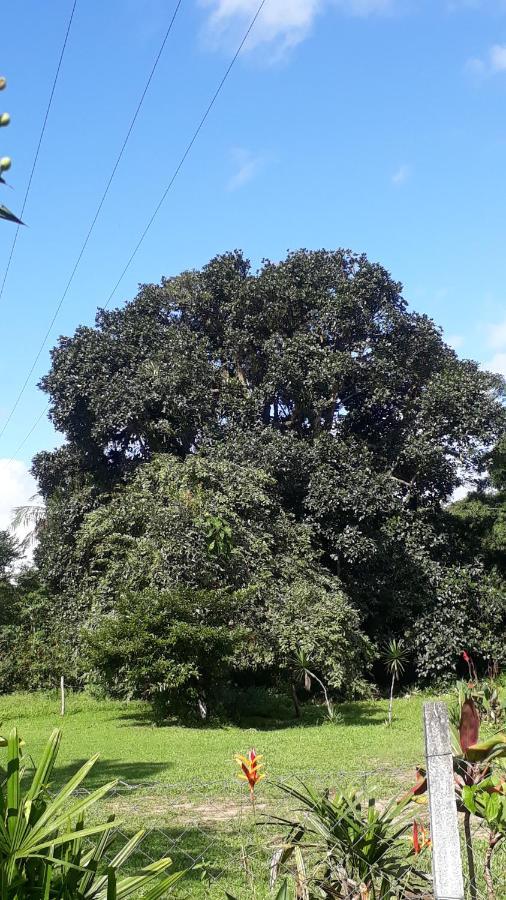 Pousada Do Colono Morretes Dış mekan fotoğraf